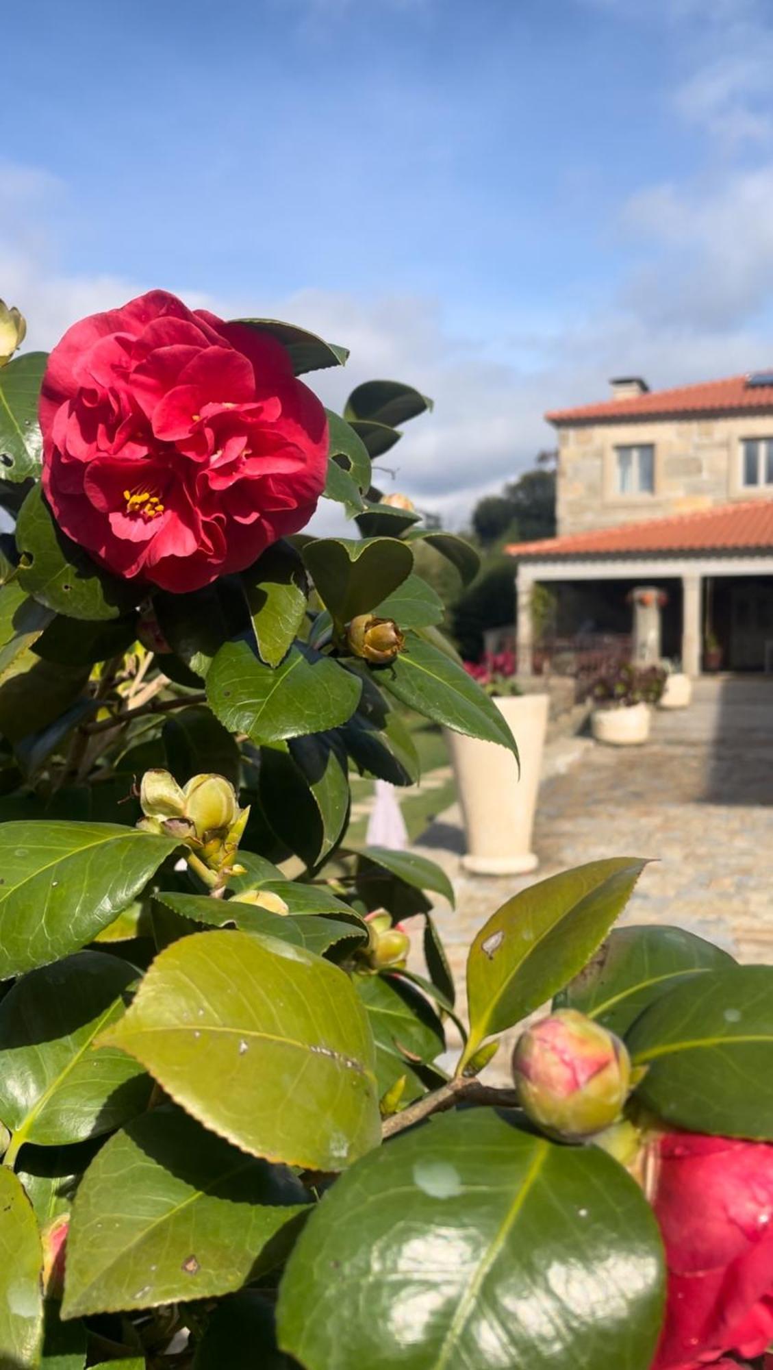 Quinta De Villasete Alpendurada Exterior foto