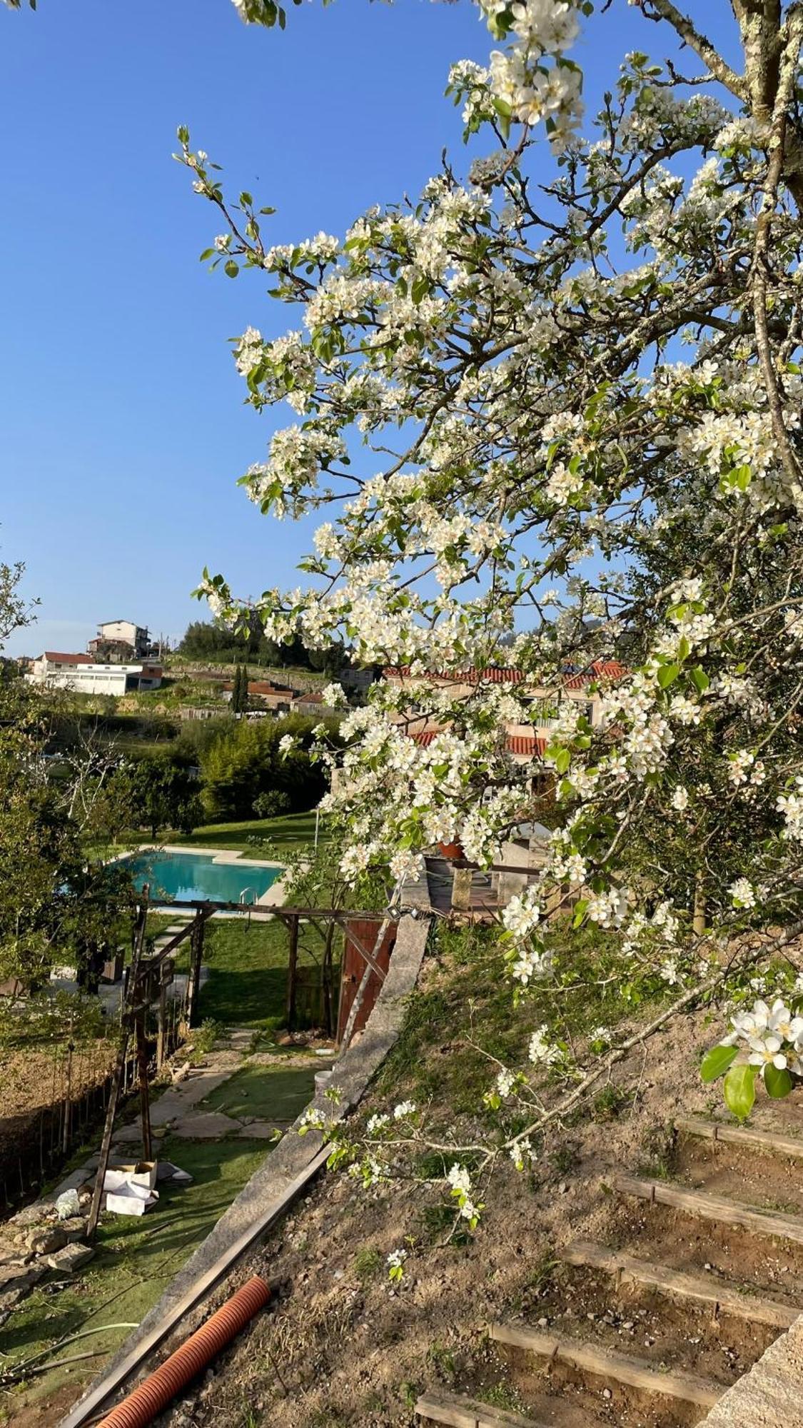 Quinta De Villasete Alpendurada Exterior foto