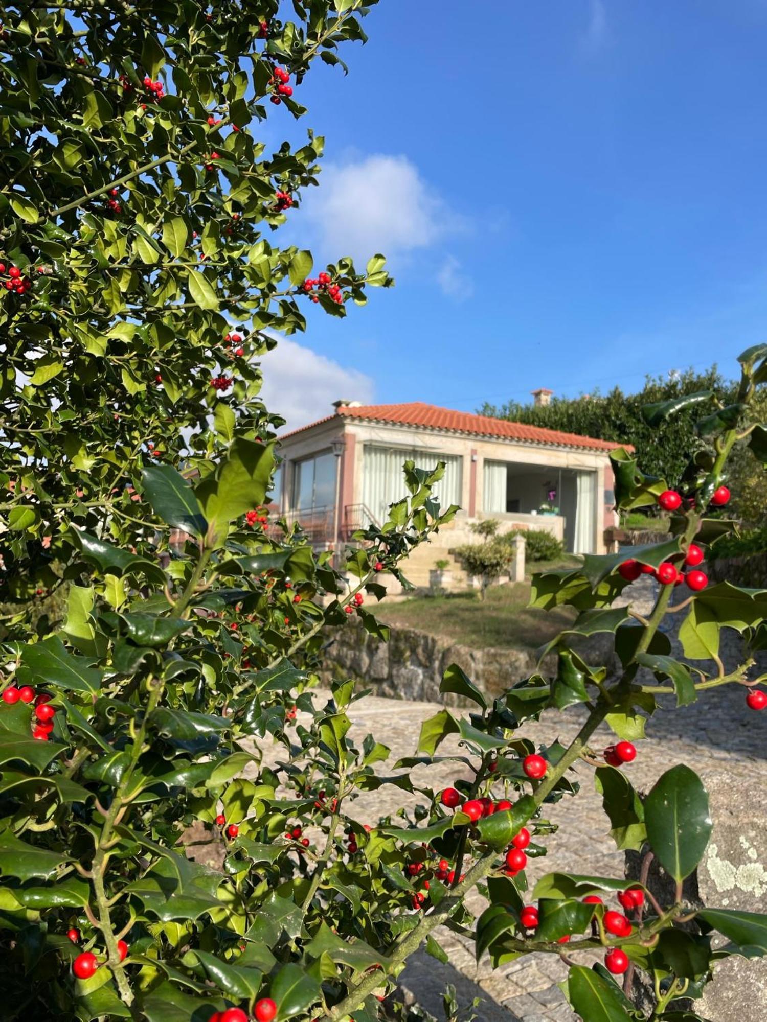 Quinta De Villasete Alpendurada Exterior foto